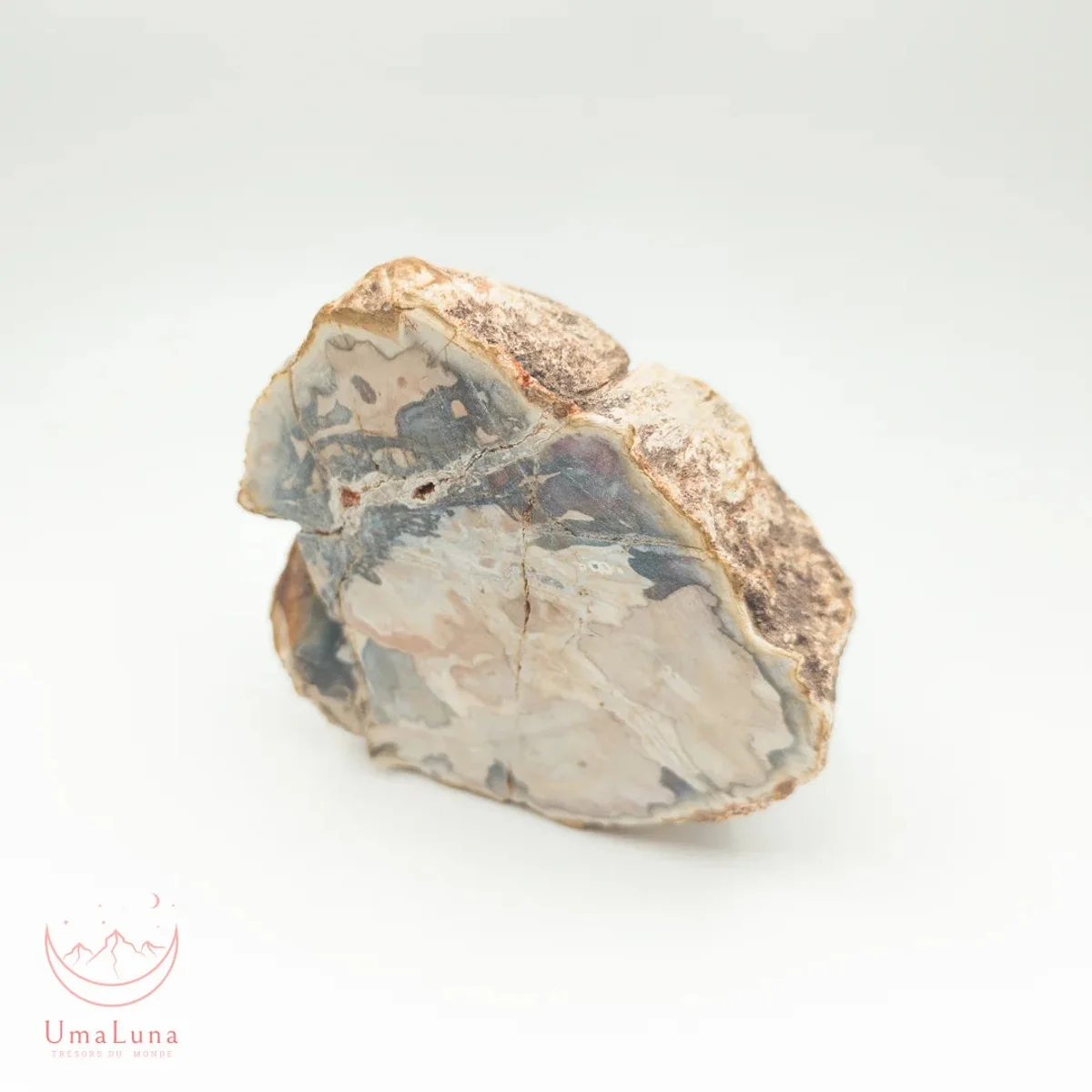 Bois Fossilisé Forme libre 650g - Photo 5
