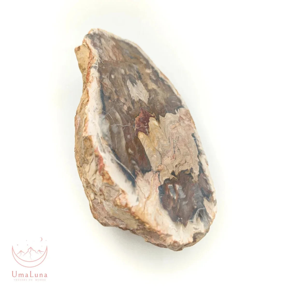 Bois Fossilisé Forme libre 650g - Photo 26
