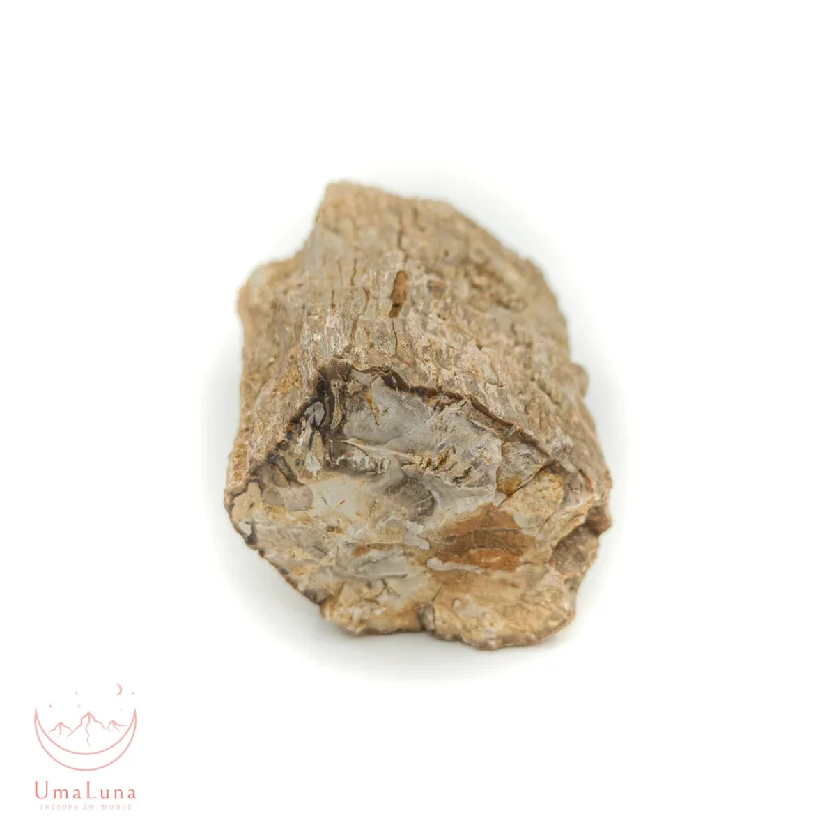 Bois Fossilisé Forme libre 650g - Photo 51