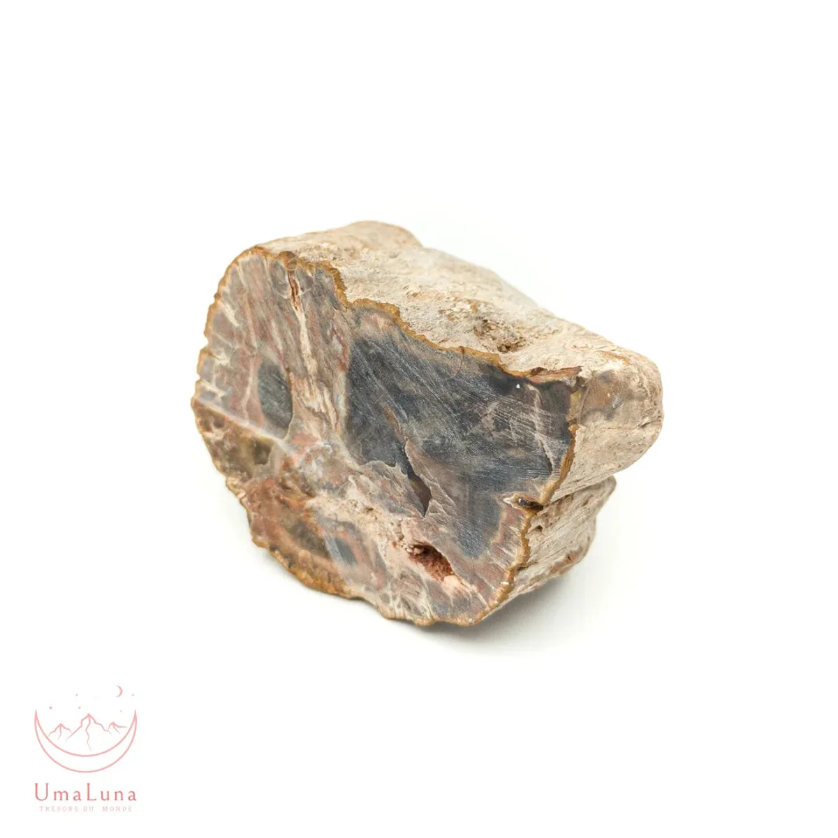 Bois Fossilisé Forme libre 650g - Photo 35