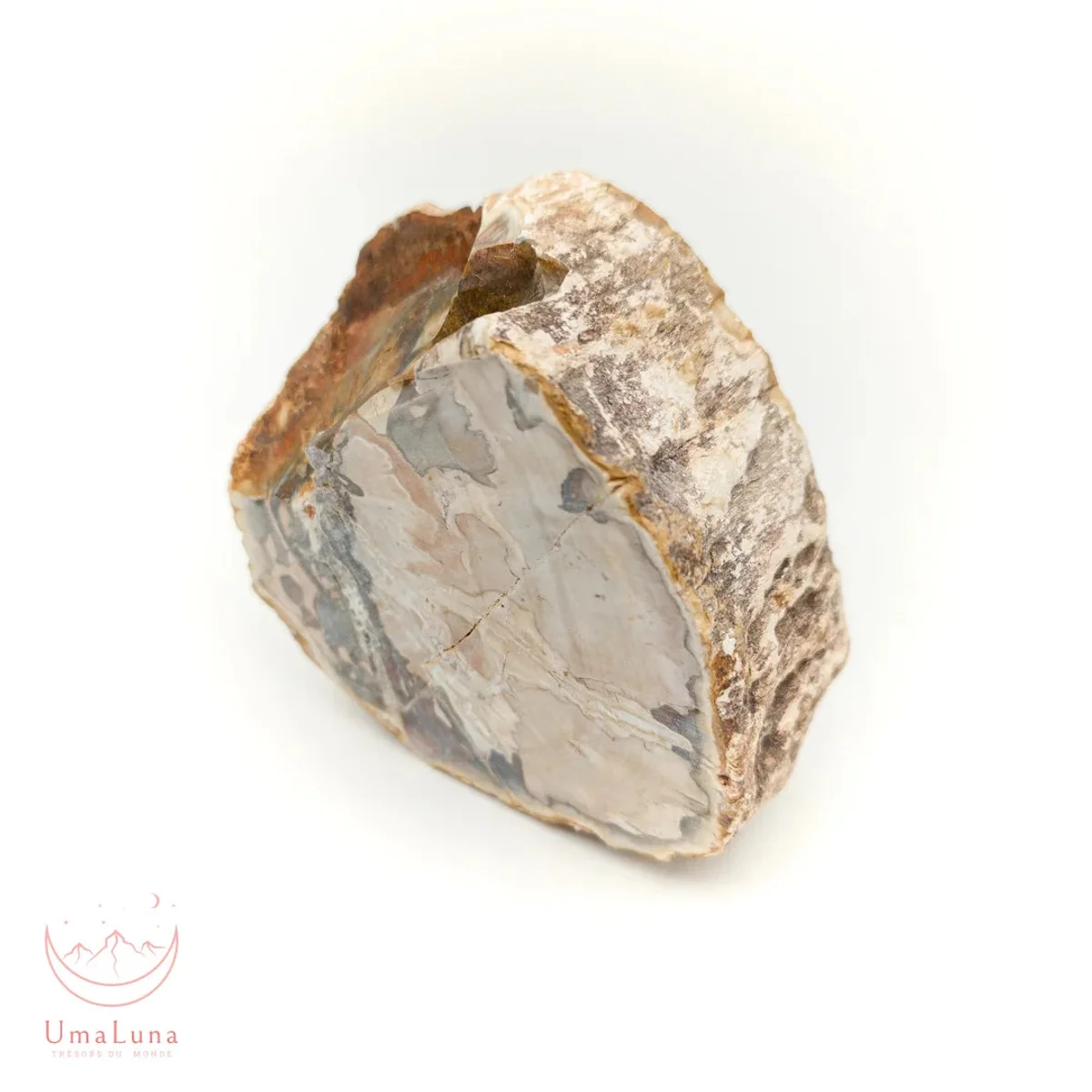 Bois Fossilisé Forme libre 650g - Photo 30