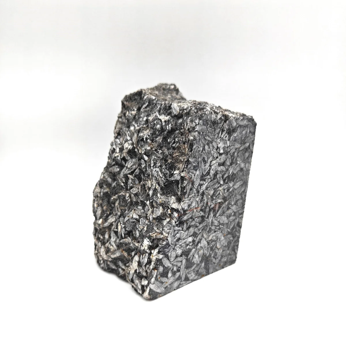 Pinolite brute 1300g - Photo 1