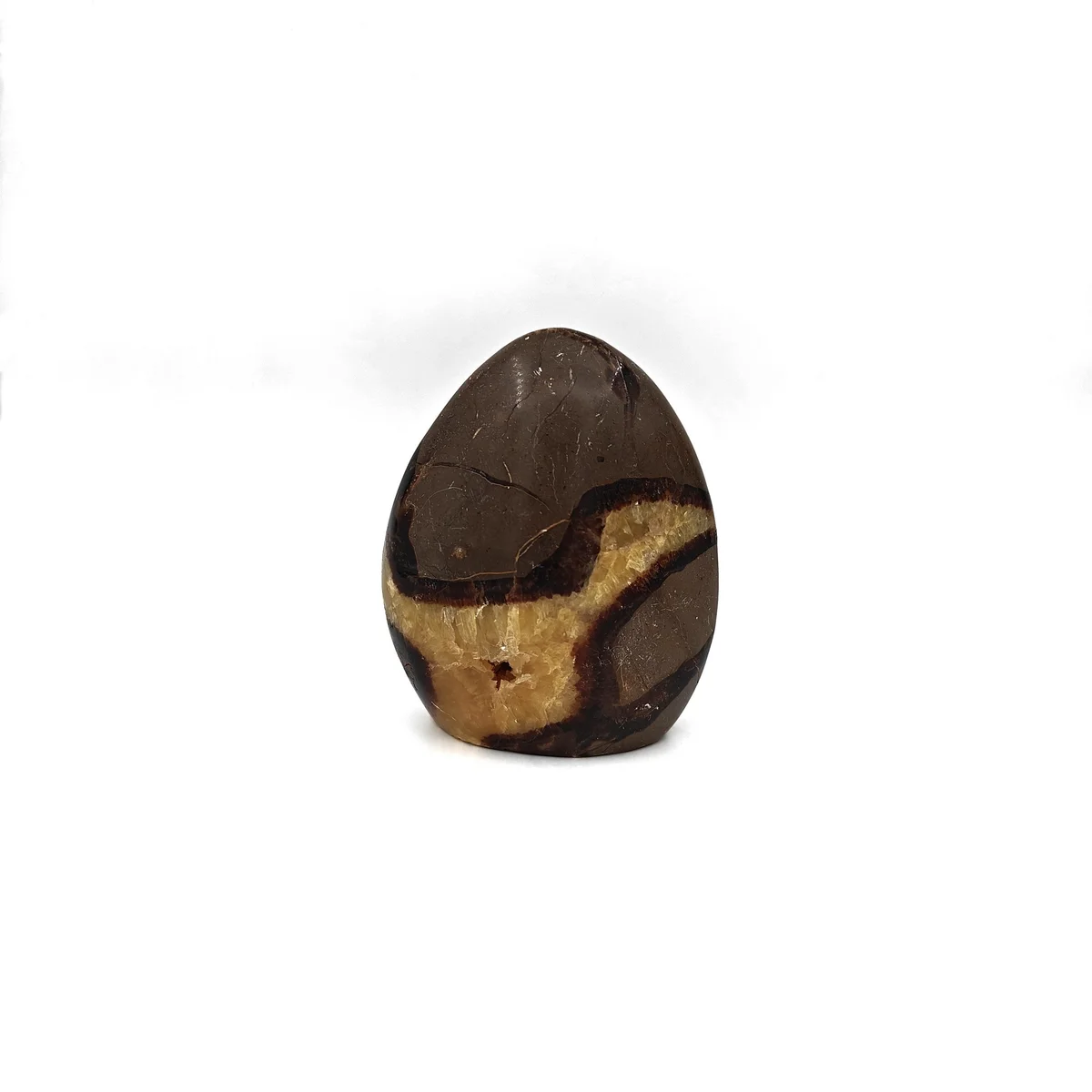 Septaria Forme libre 830g - Photo 1
