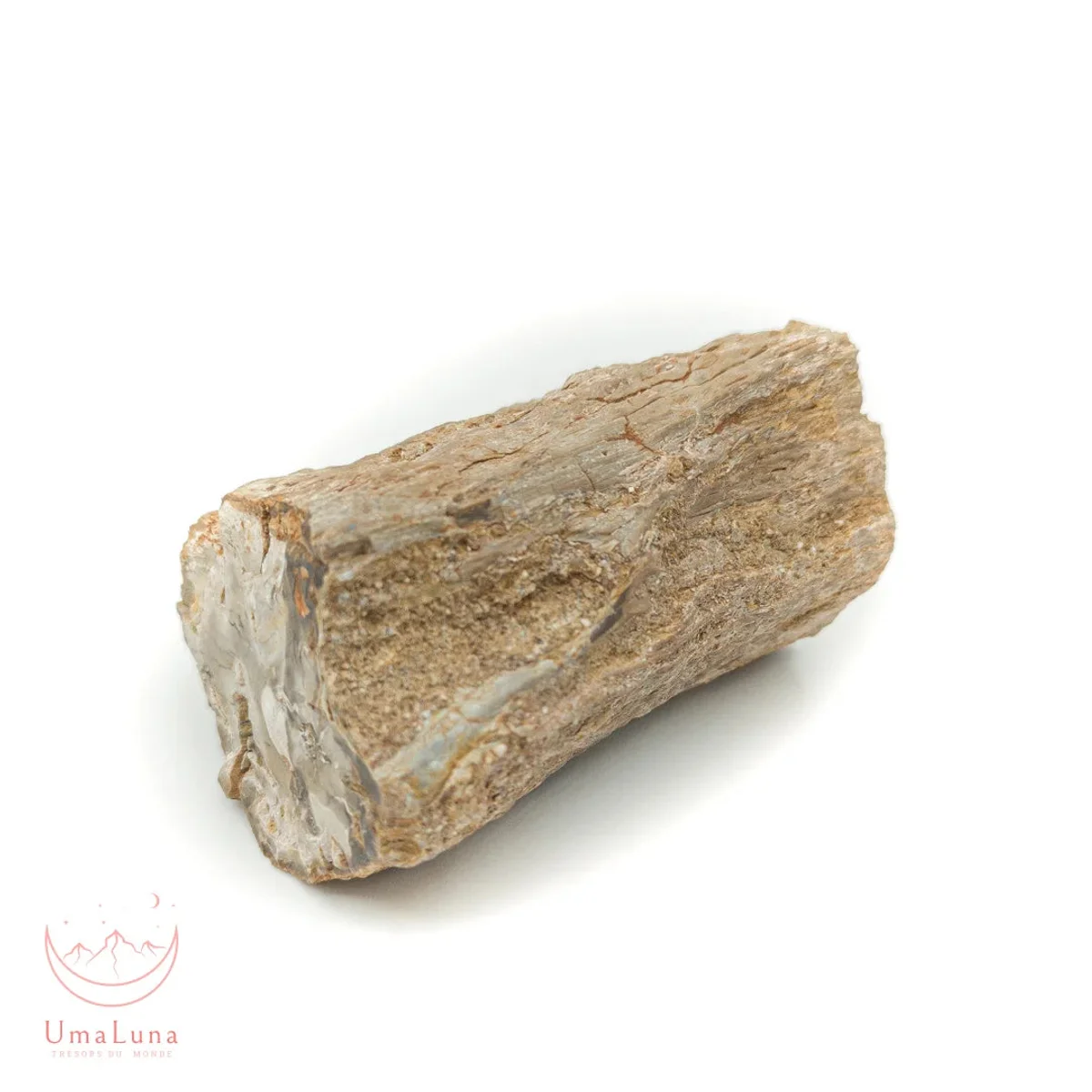 Bois Fossilisé Forme libre 650g - Photo 49