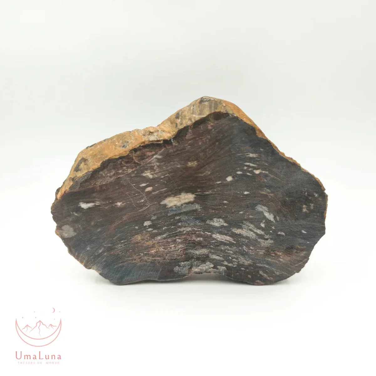 Bois Fossilisé Forme libre 650g - Photo 18