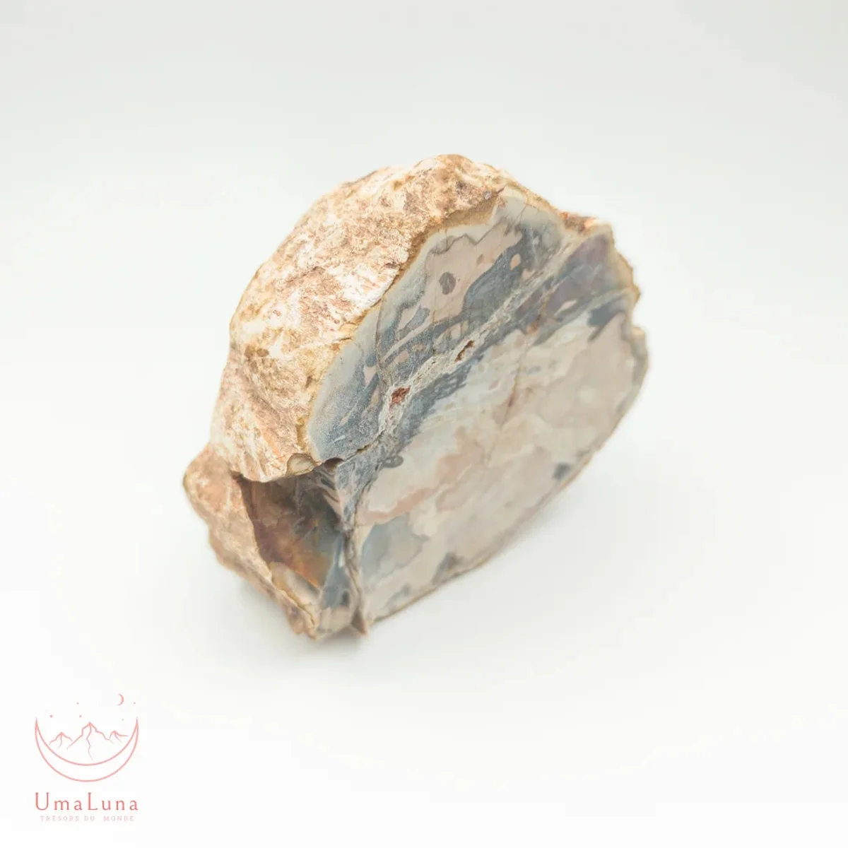 Bois Fossilisé Forme libre 650g - Photo 4