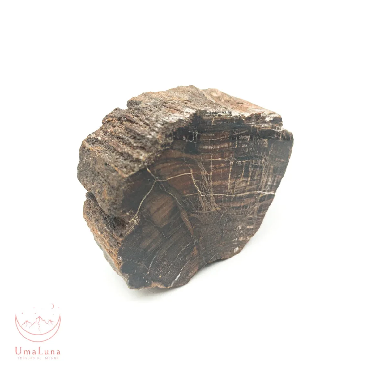 Bois Fossilisé Forme libre 650g - Photo 39