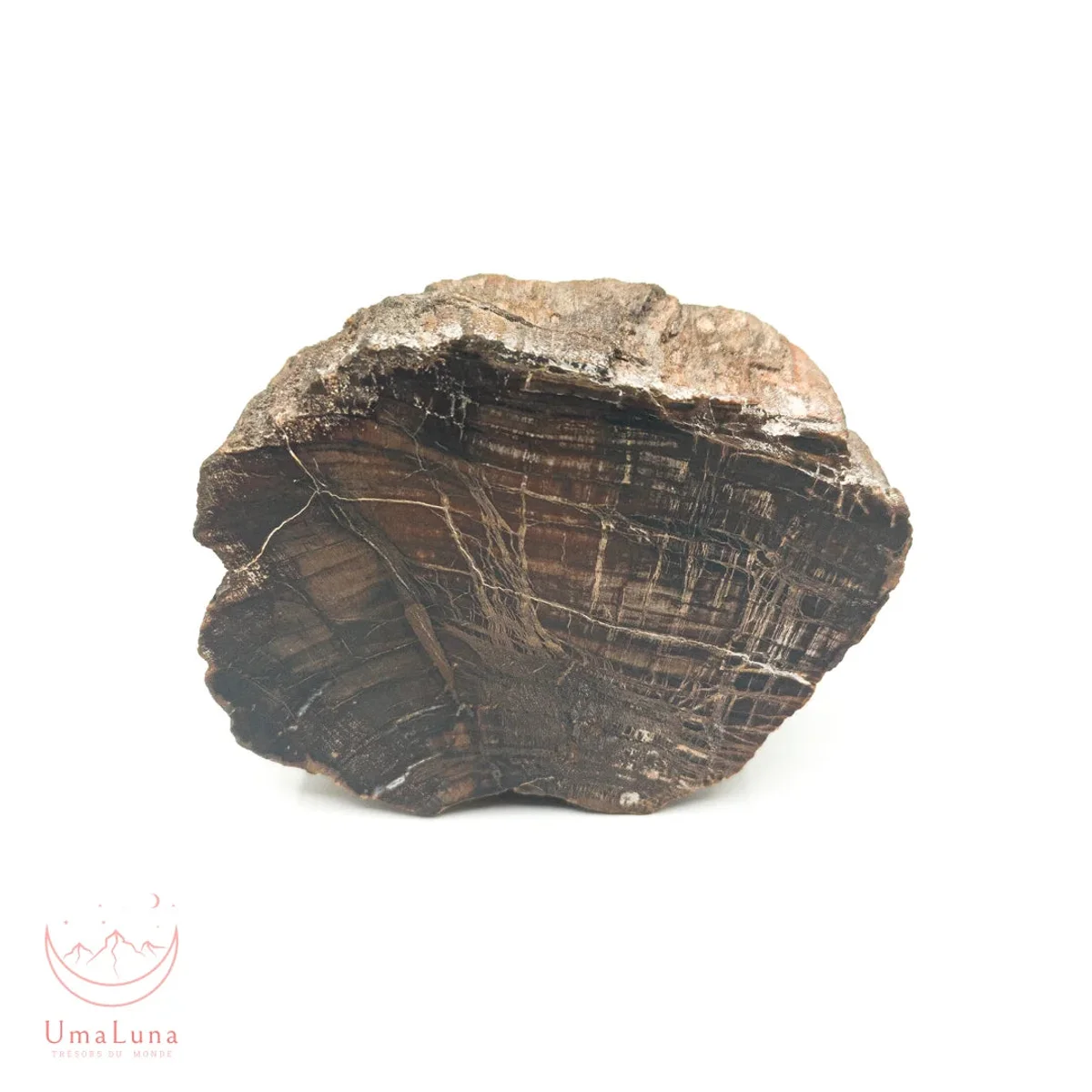 Bois Fossilisé brute 550g - Photo 1