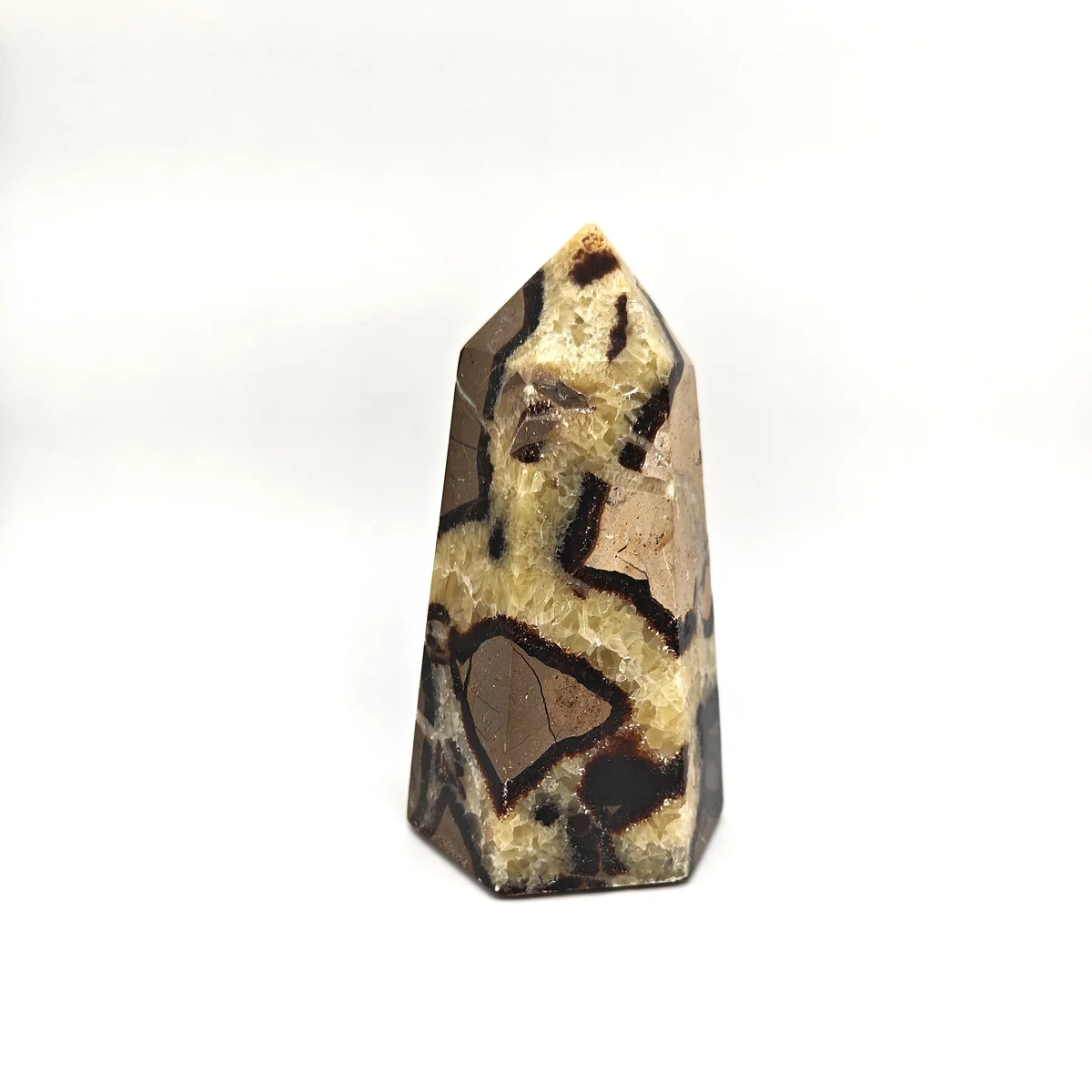Septaria Pointe 950g - Photo 1