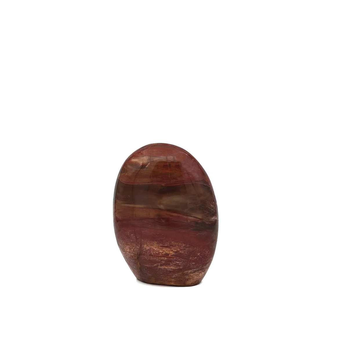 Bois Fossilisé Forme libre 750g - Photo 1