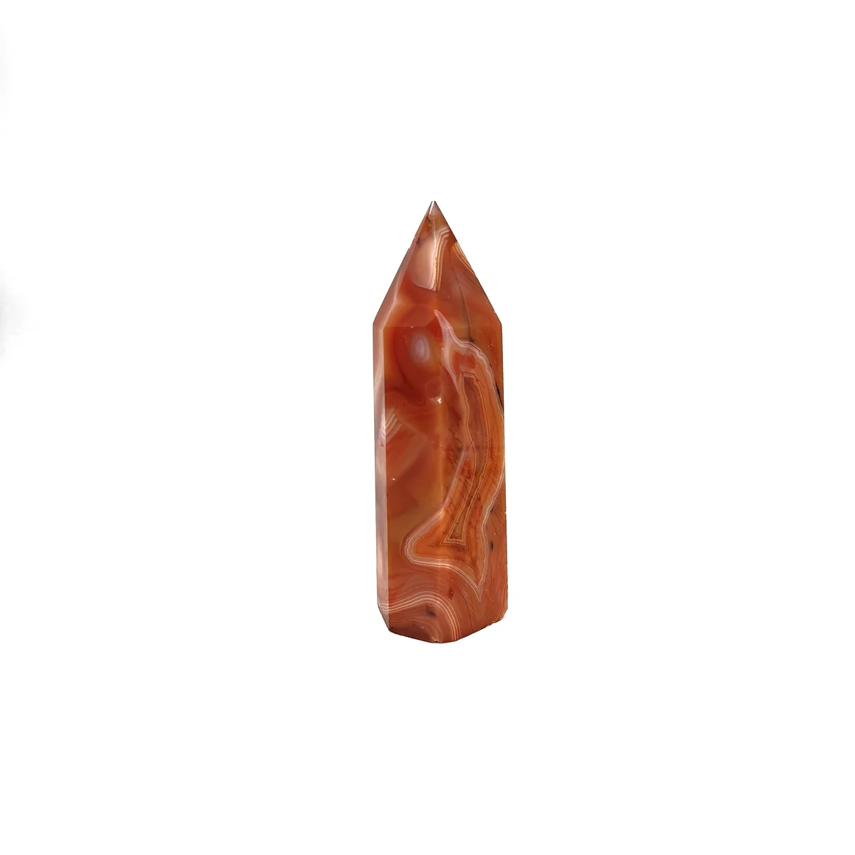 Cornaline Pointe 285g - Photo 1