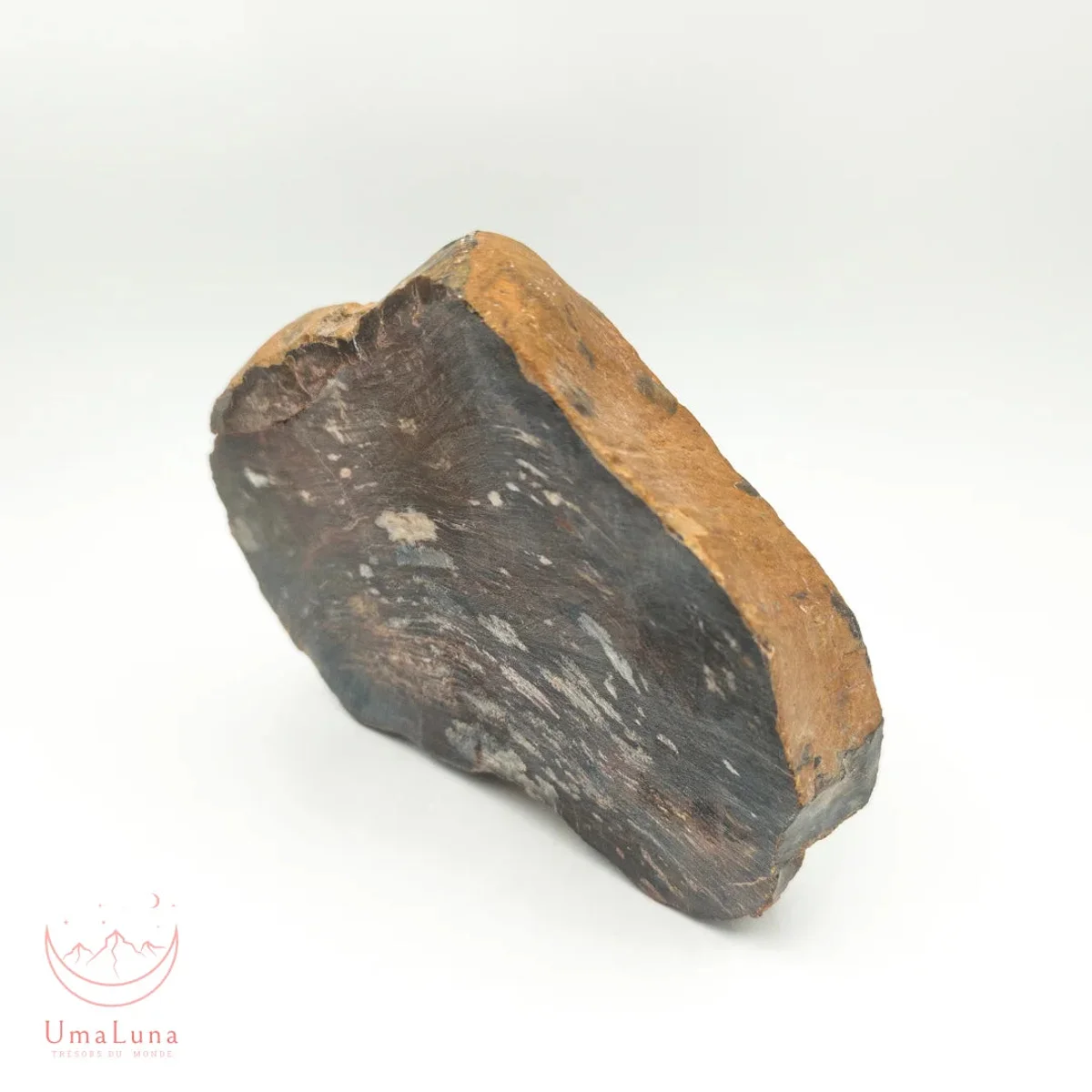 Bois Fossilisé Forme libre 650g - Photo 20