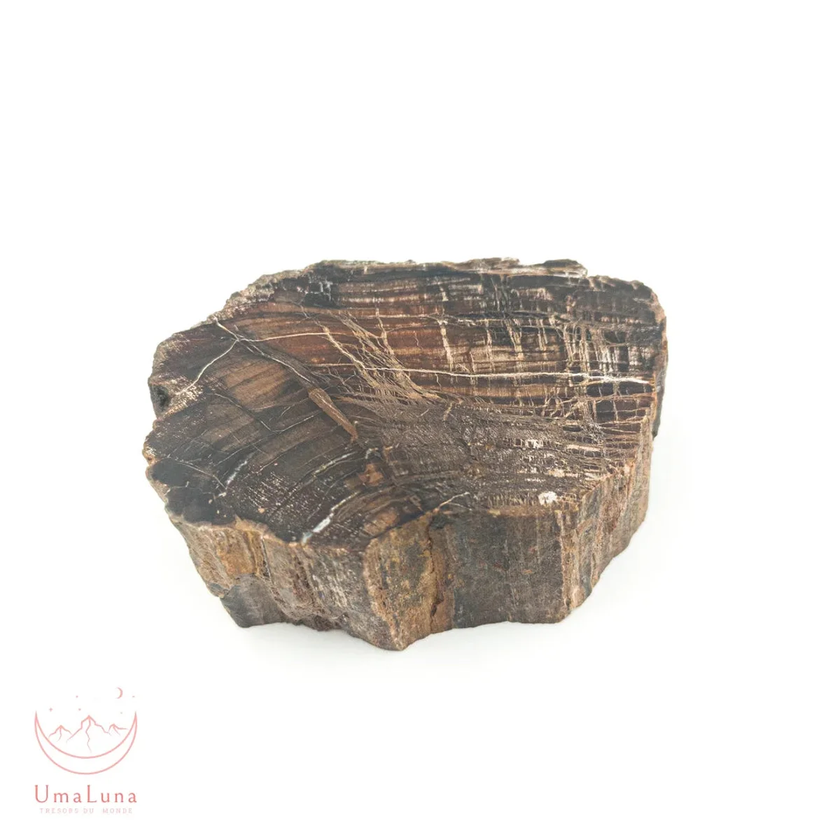 Bois Fossilisé Forme libre 650g - Photo 42