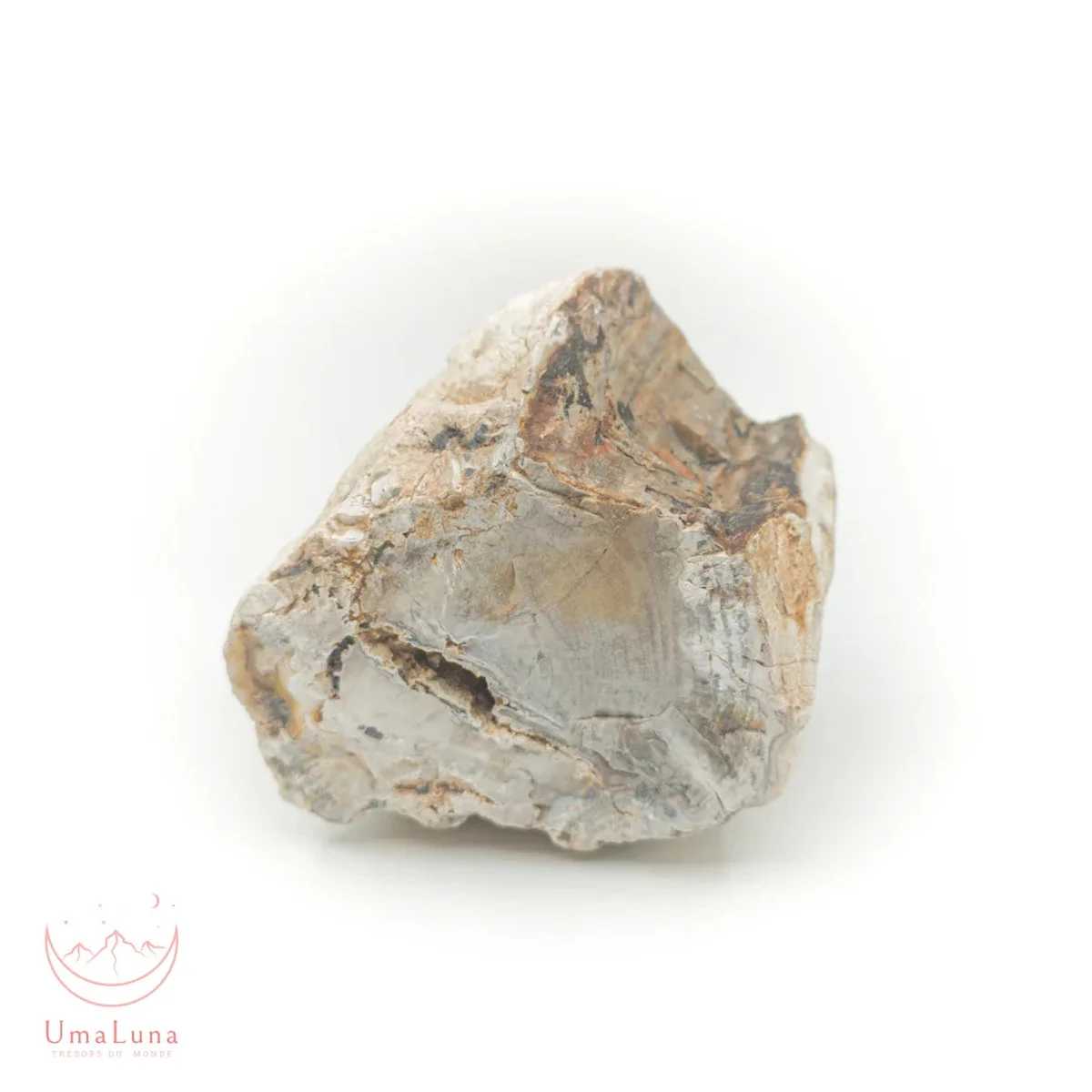 Bois Fossilisé Forme libre 650g - Photo 46