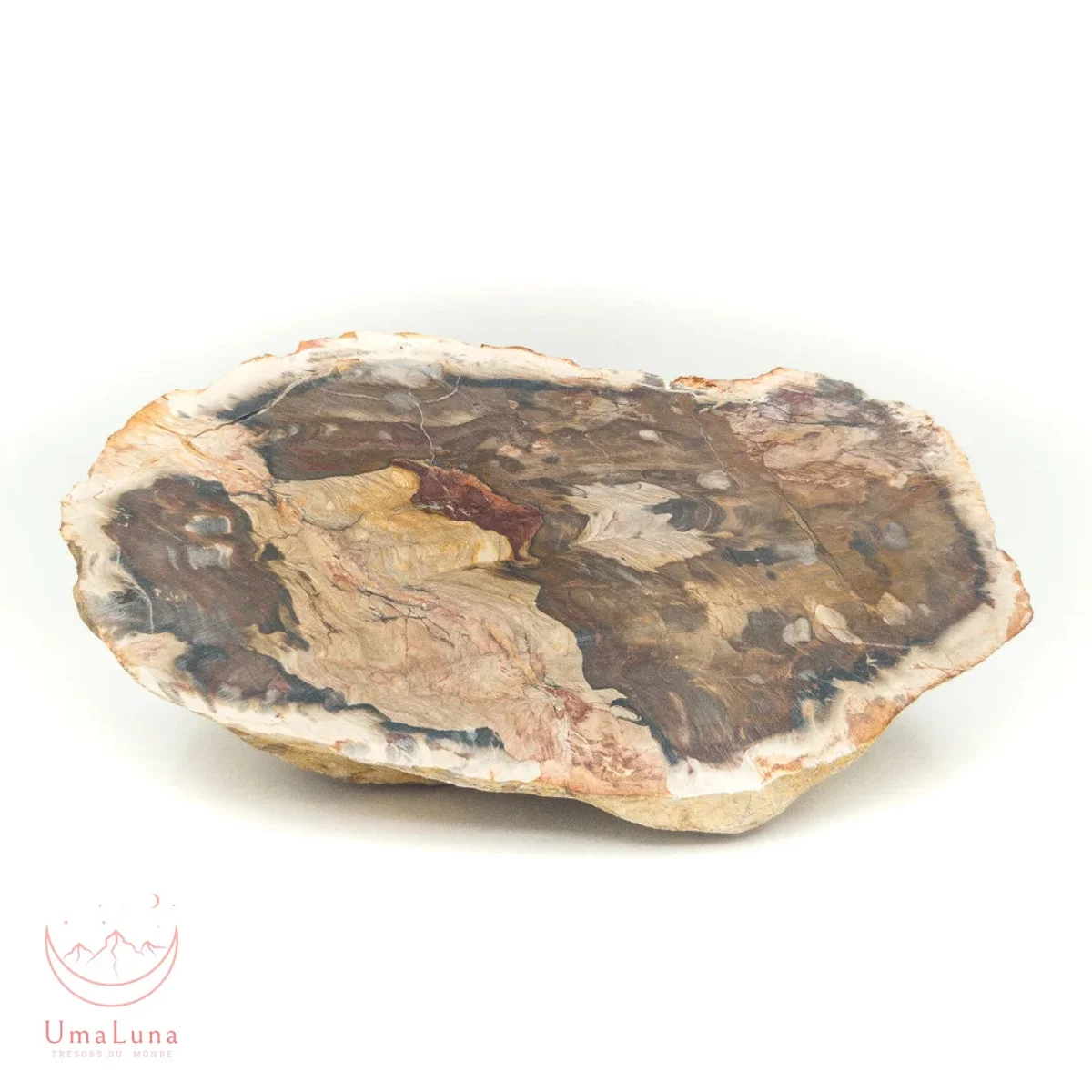 Bois Fossilisé brute 1440g - Photo 1