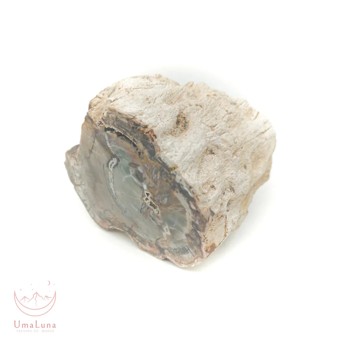 Bois Fossilisé Forme libre 650g - Photo 45