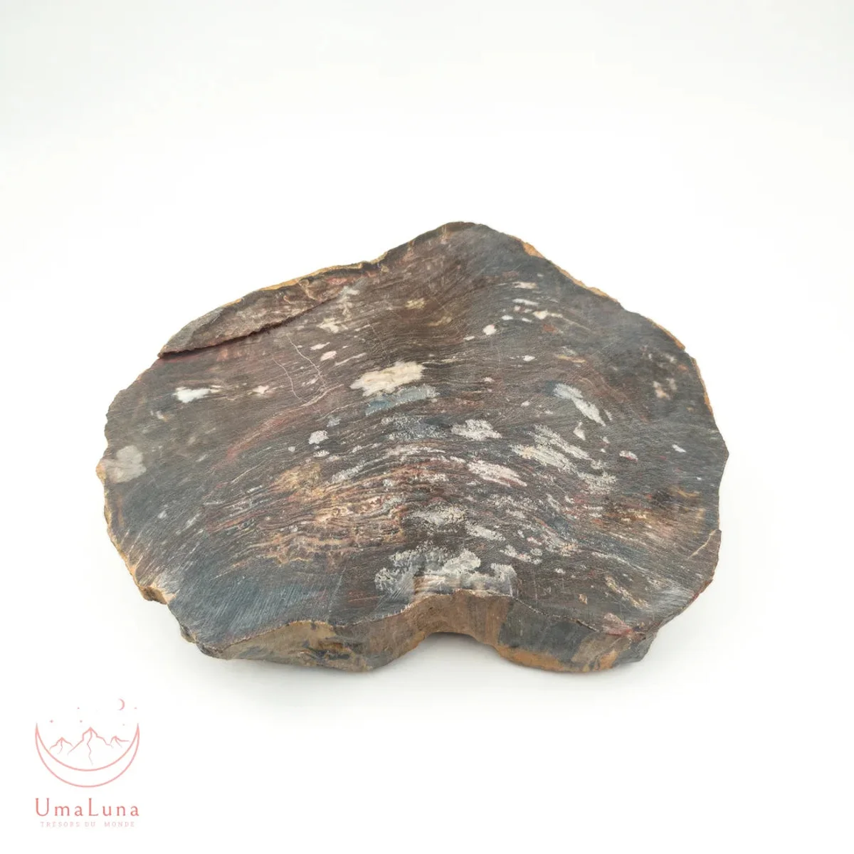 Bois Fossilisé Forme libre 650g - Photo 22