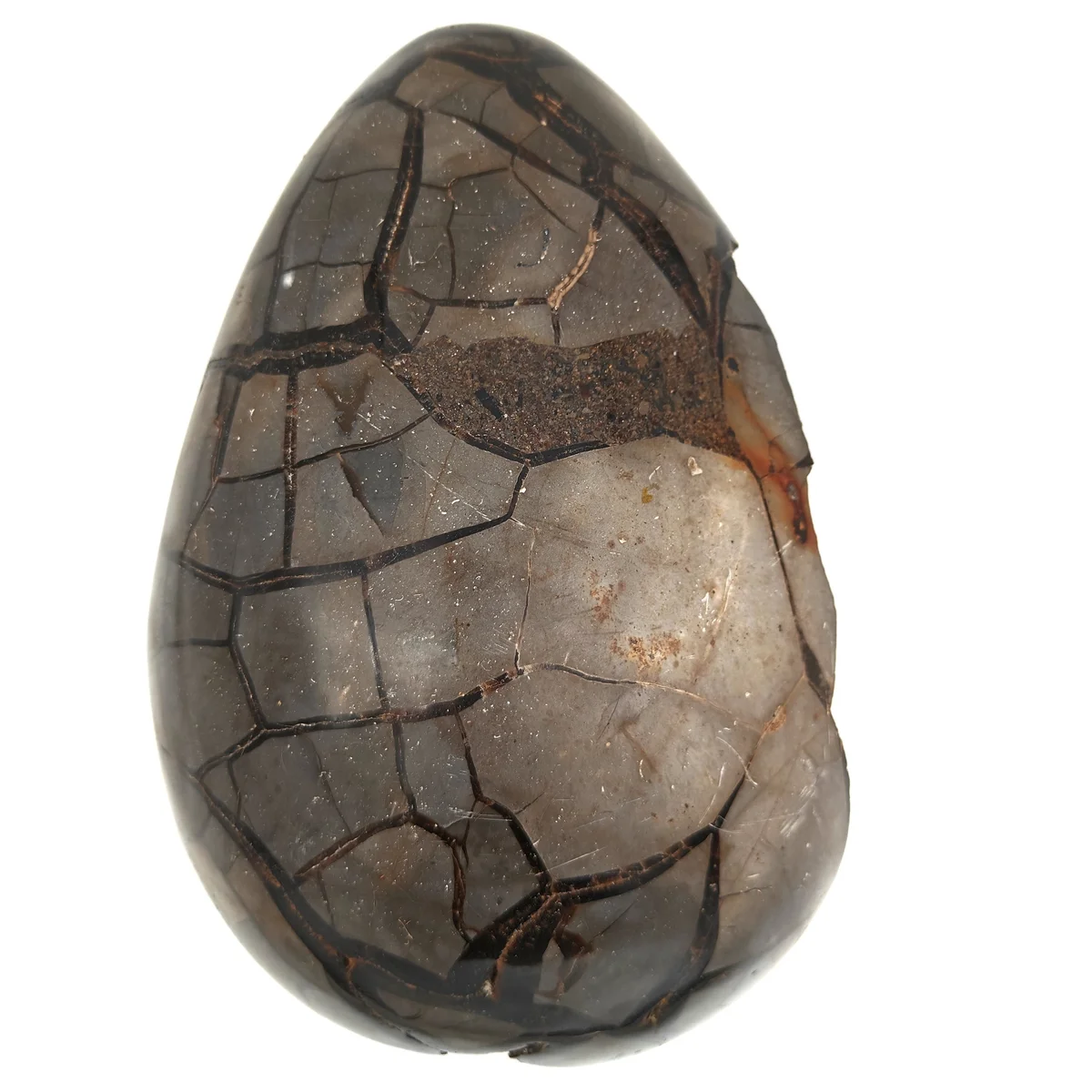 Septaria Forme libre 3400g - Photo 1