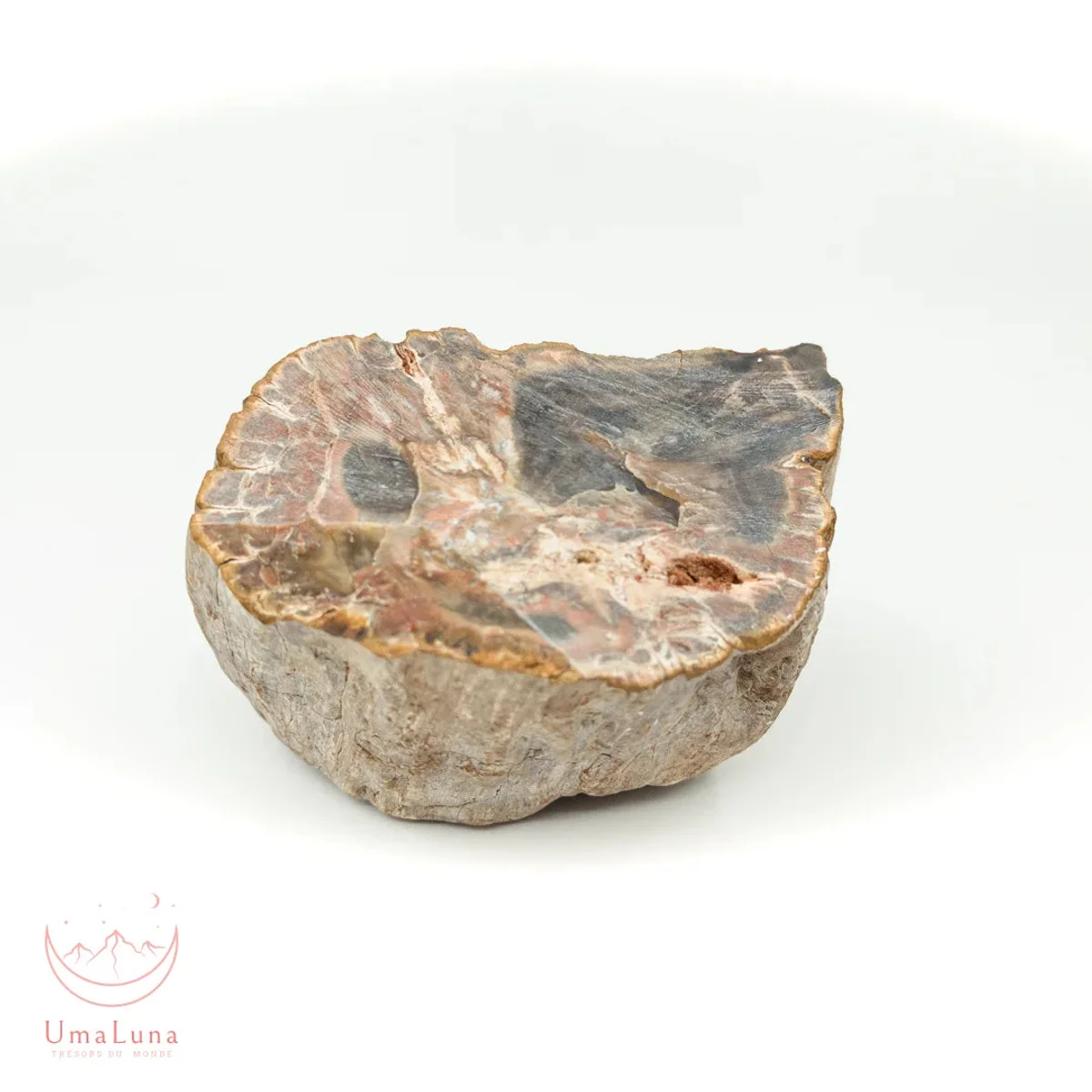 Bois Fossilisé Forme libre 650g - Photo 37