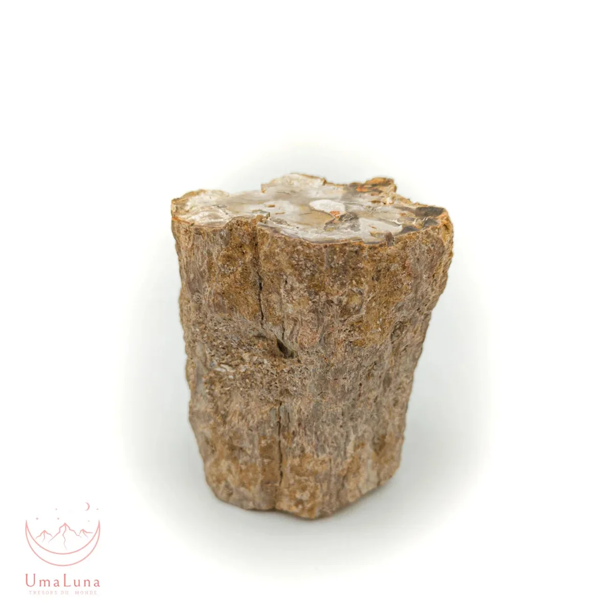 Bois Fossilisé Forme libre 650g - Photo 52