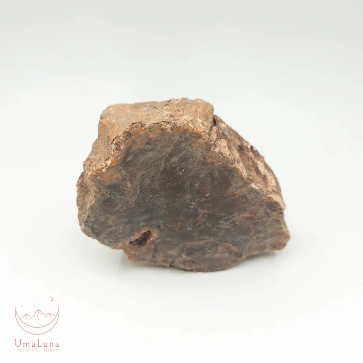 Bois Fossilisé Forme libre 650g - Photo 11