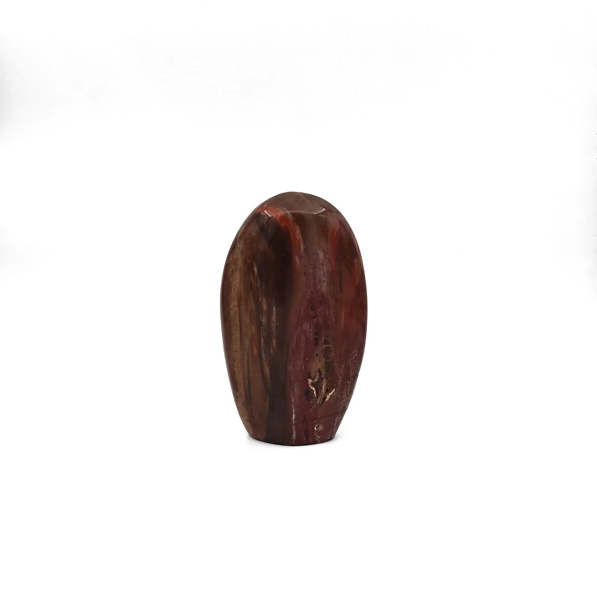 Bois Fossilisé Forme libre 480g - Photo 1