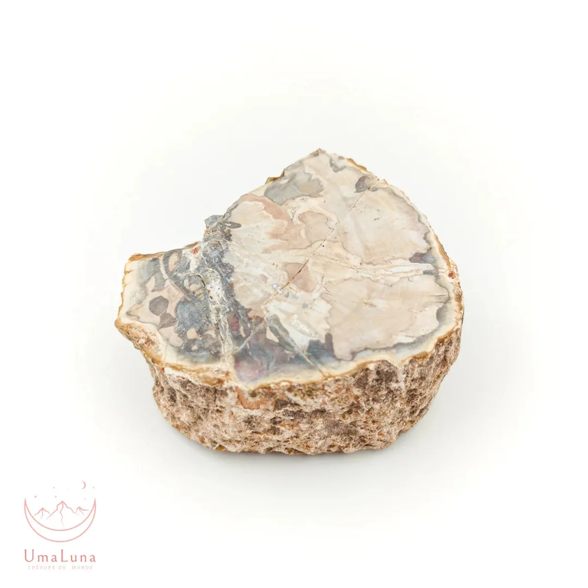 Bois Fossilisé Forme libre 650g - Photo 32