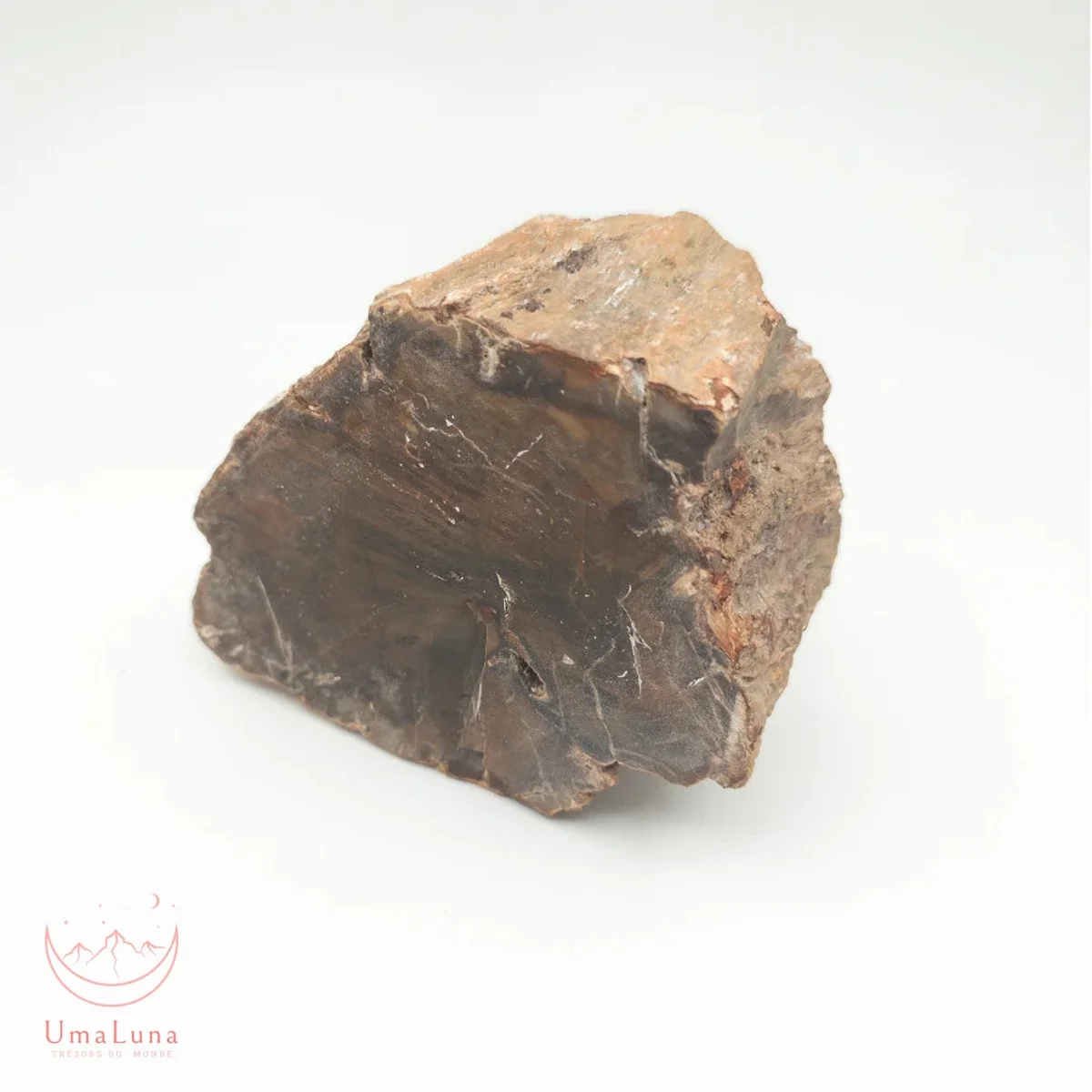 Bois Fossilisé Forme libre 650g - Photo 10