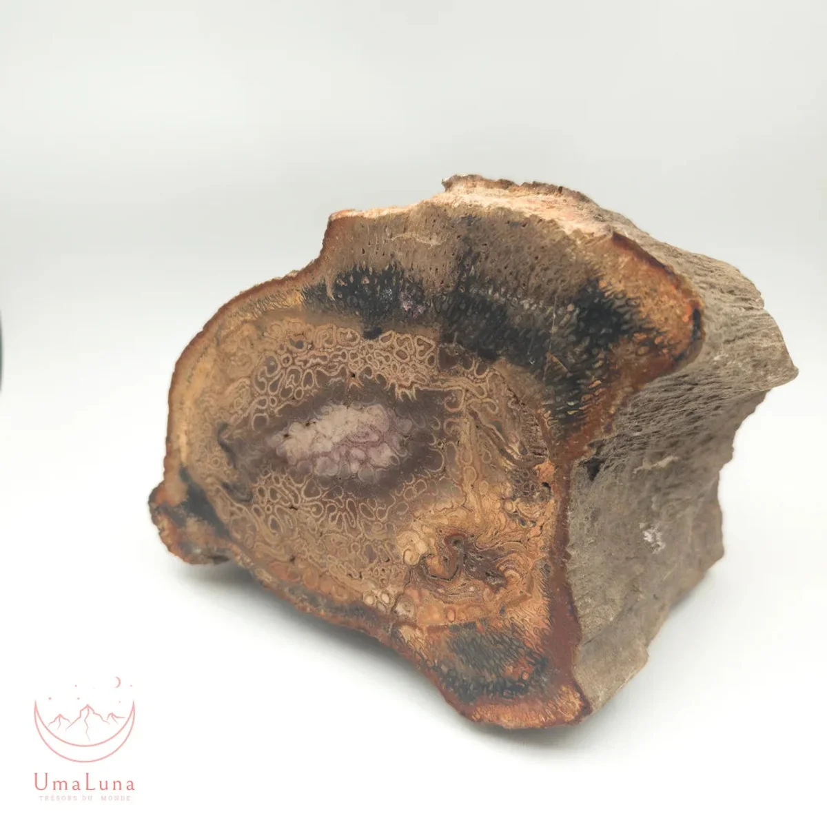 Bois Fossilisé Forme libre 650g - Photo 15