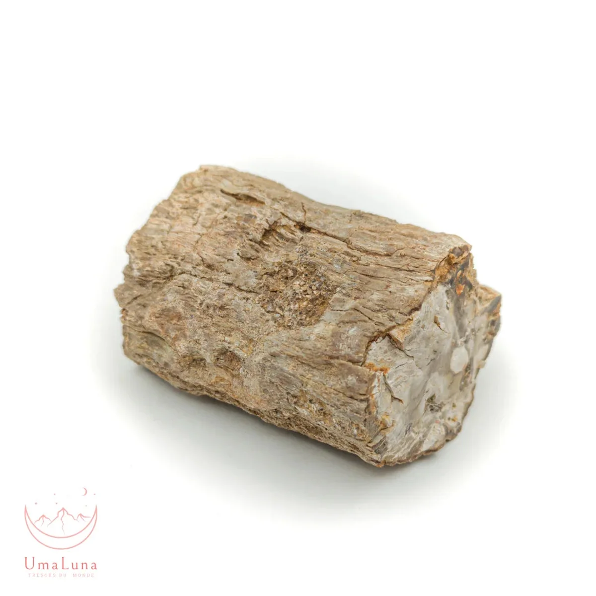 Bois Fossilisé Forme libre 650g - Photo 50