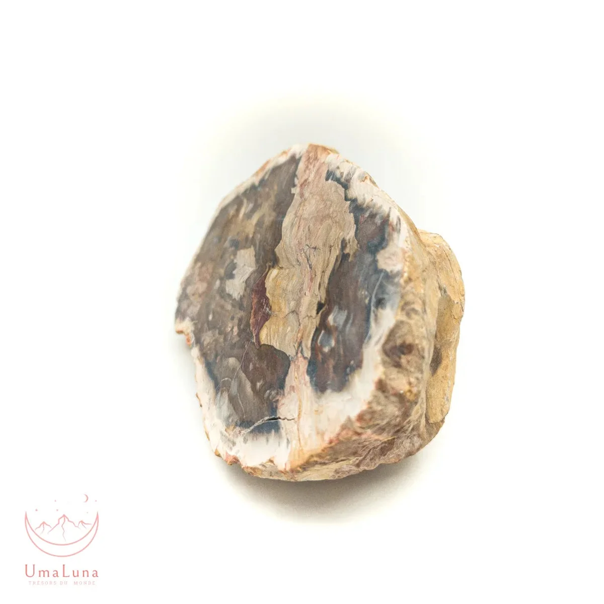 Bois Fossilisé Forme libre 650g - Photo 25