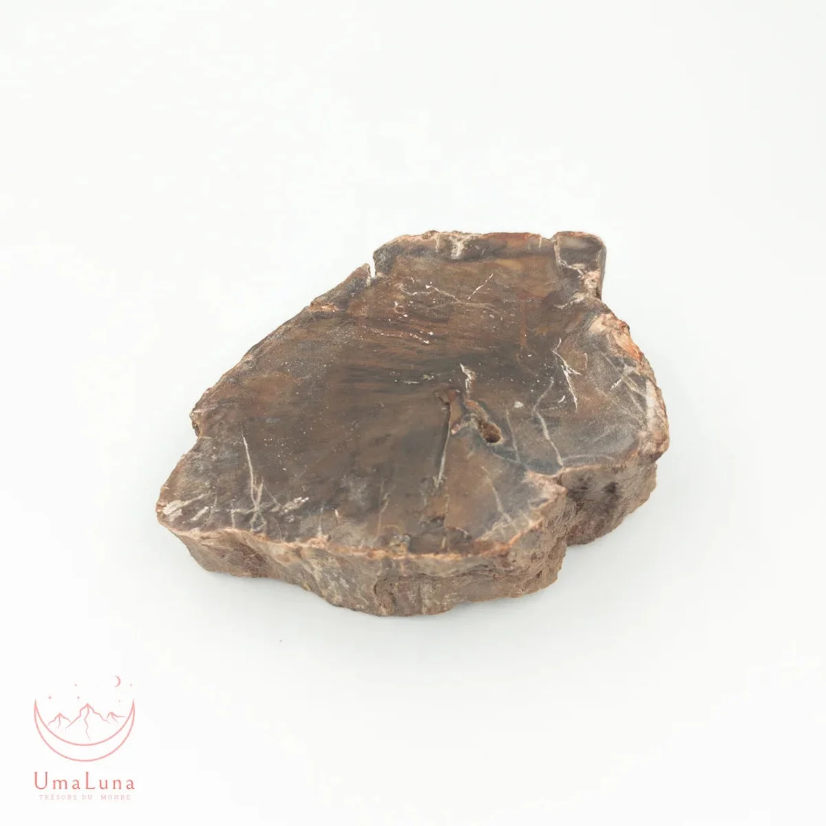 Bois Fossilisé Forme libre 650g - Photo 12