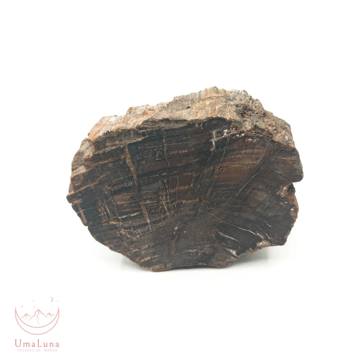 Bois Fossilisé Forme libre 650g - Photo 41