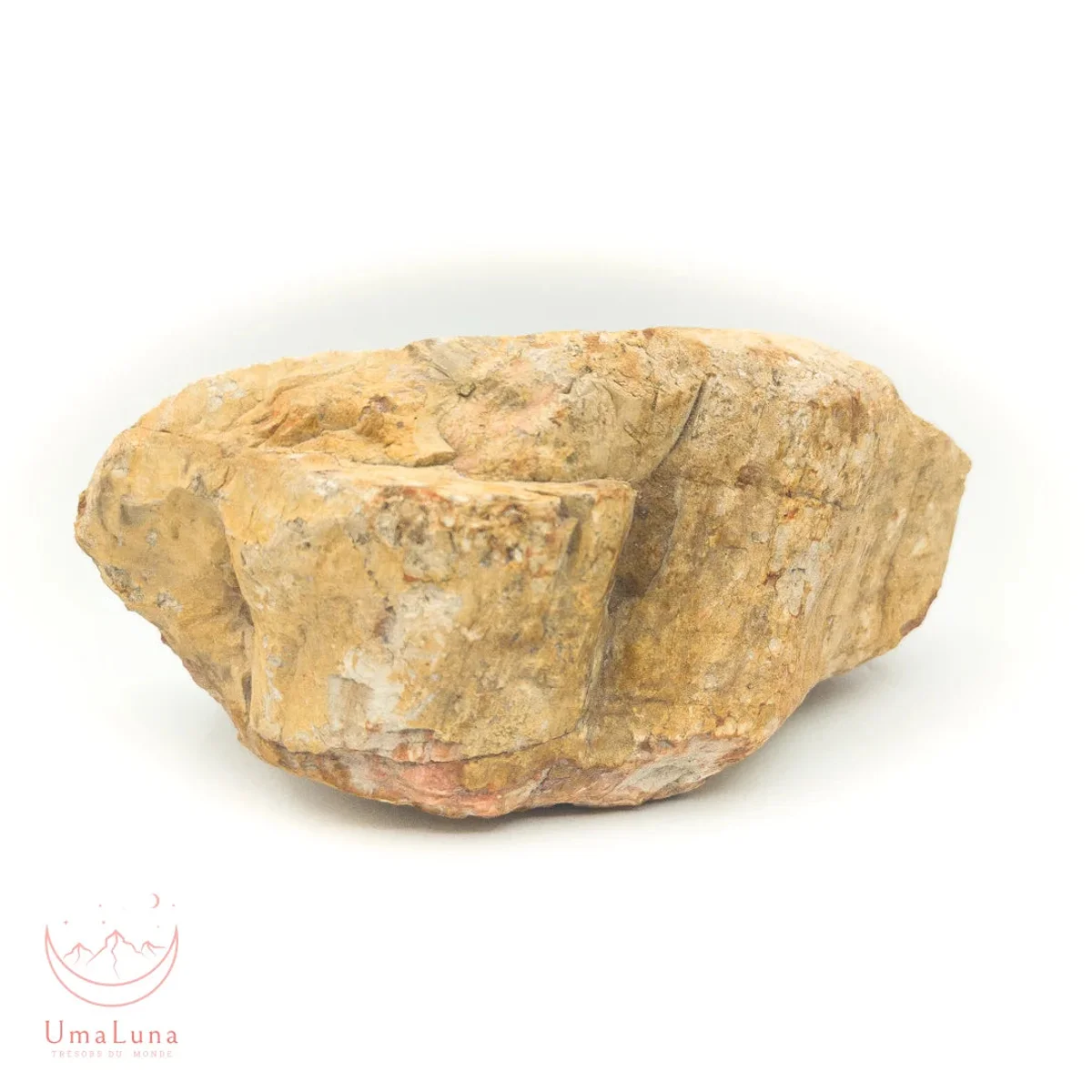 Bois Fossilisé Forme libre 650g - Photo 27