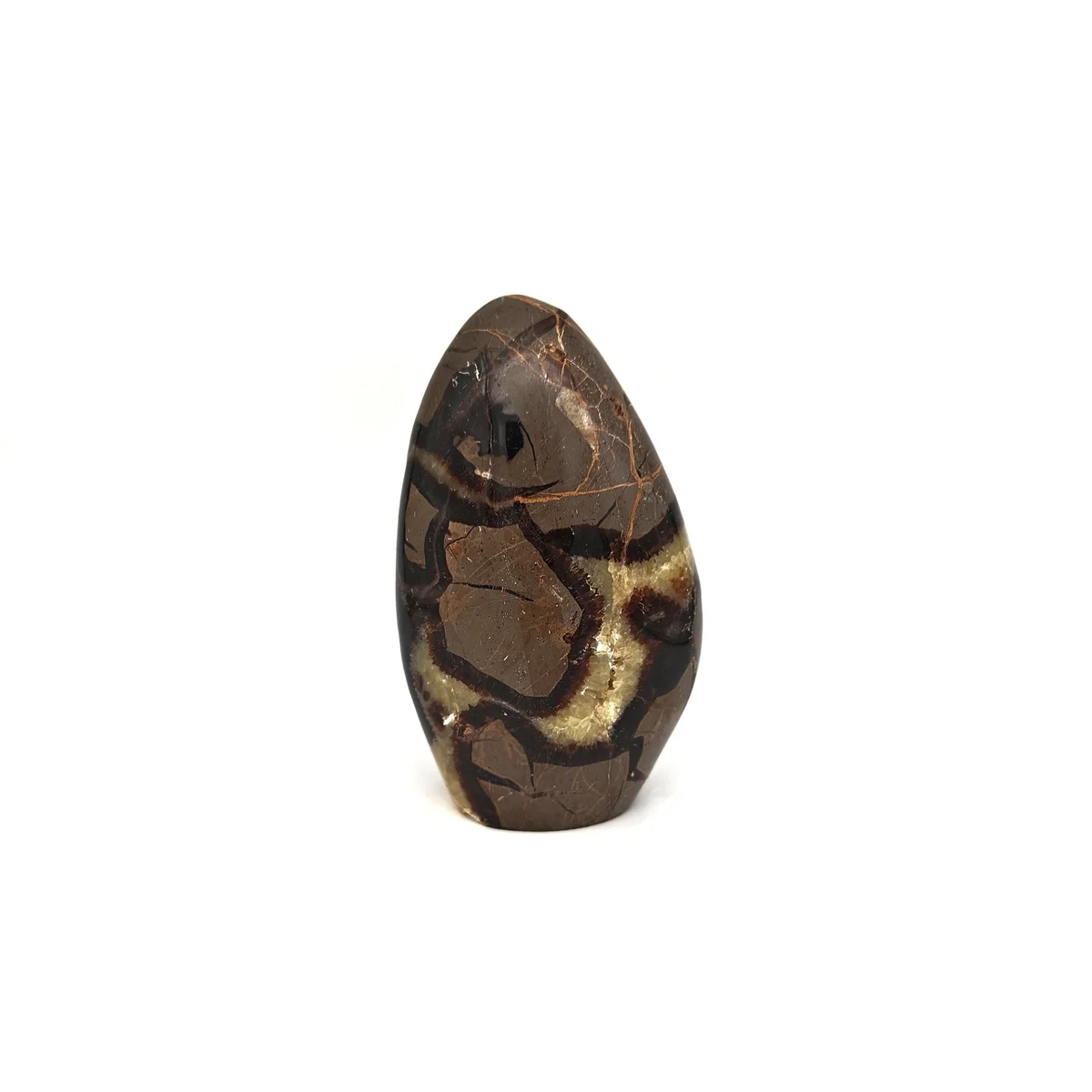 Septaria Forme libre 710g - Photo 1