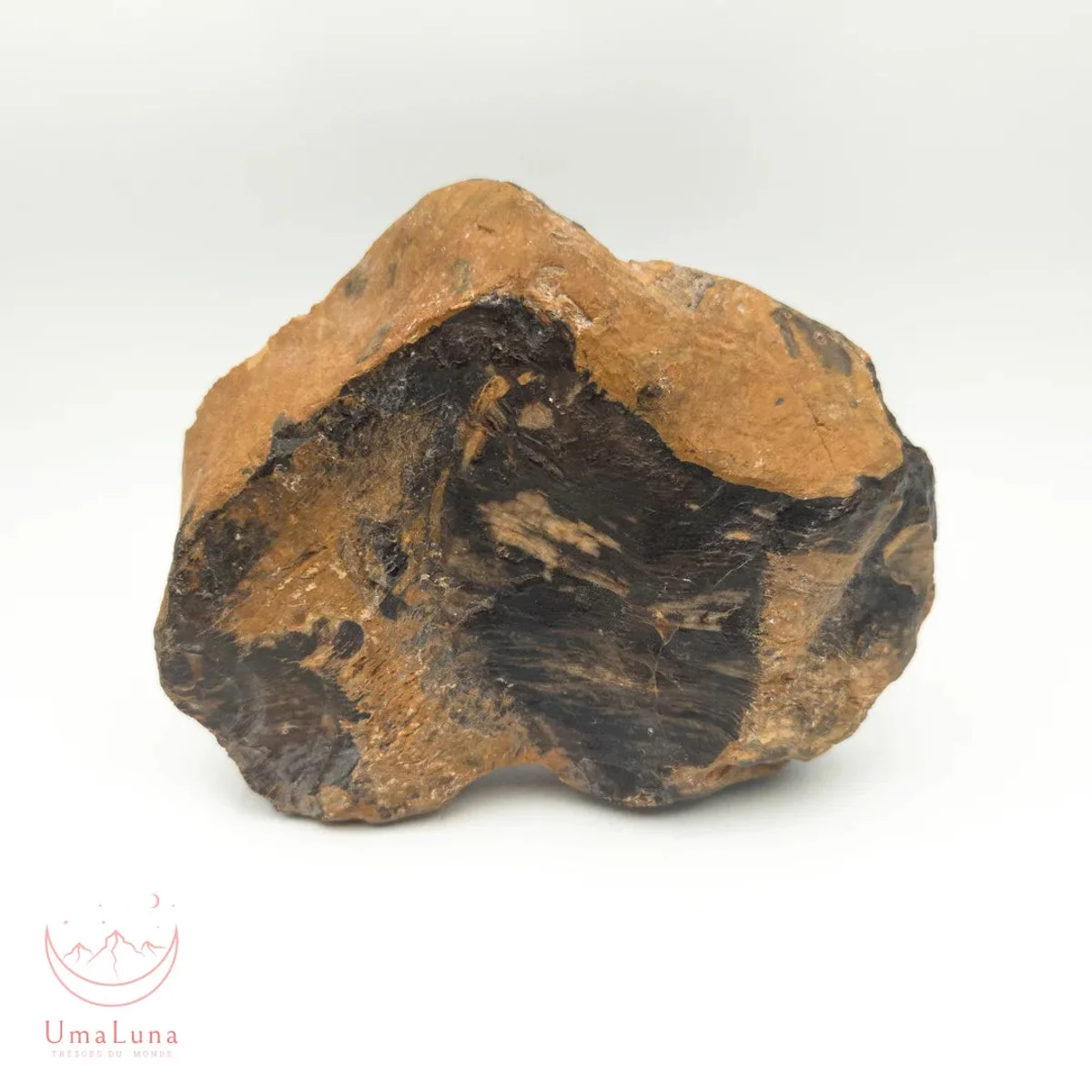 Bois Fossilisé Forme libre 650g - Photo 21