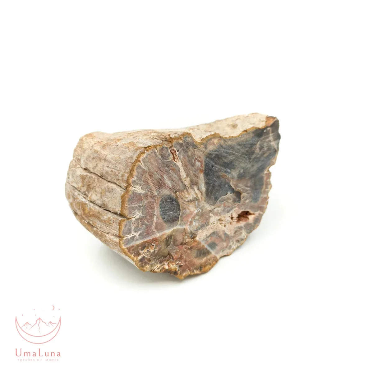 Bois Fossilisé Forme libre 650g - Photo 34