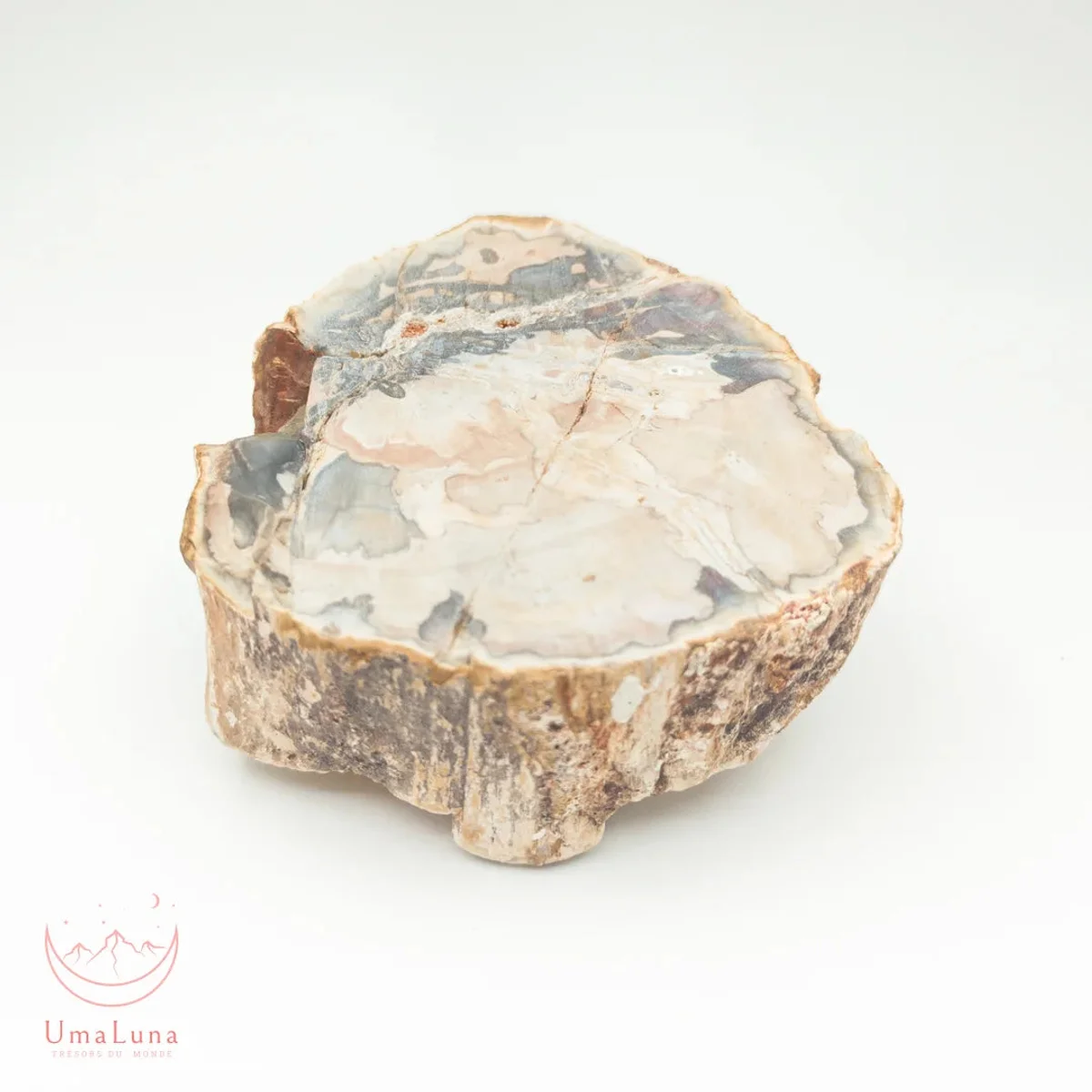 Bois Fossilisé Forme libre 650g - Photo 7