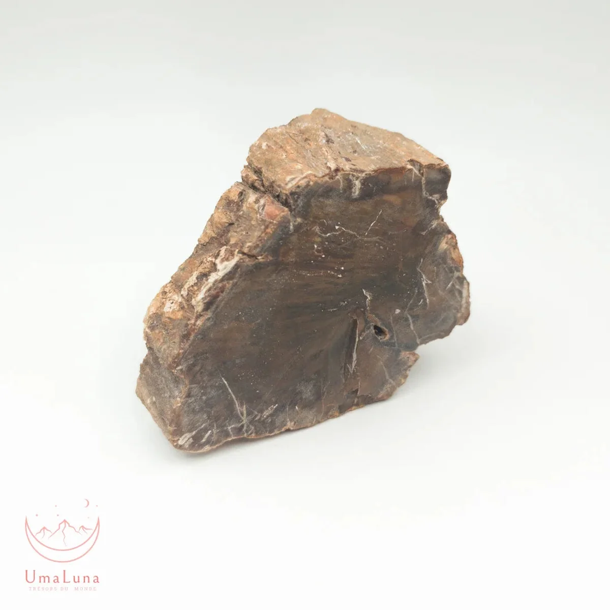 Bois Fossilisé Forme libre 650g - Photo 9