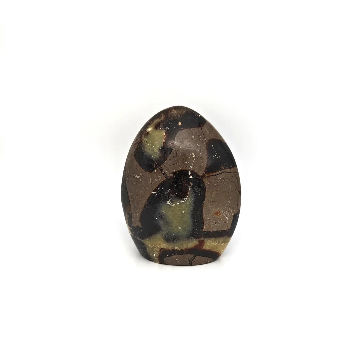 Septaria Forme libre 1000g - Photo 1