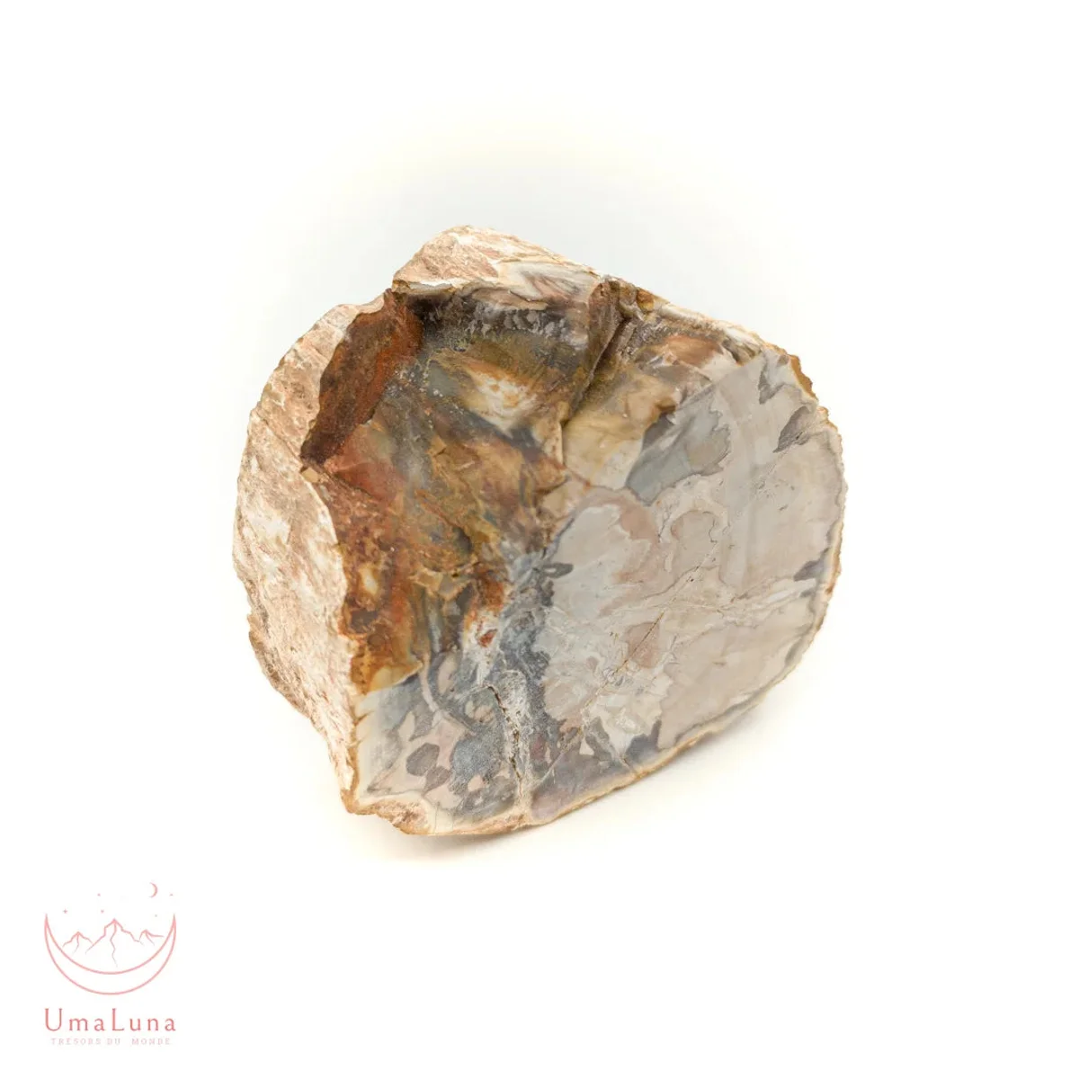 Bois Fossilisé Forme libre 650g - Photo 29