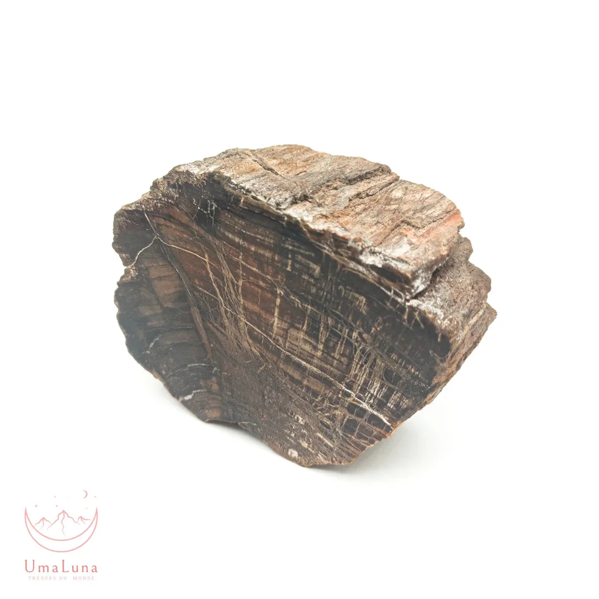 Bois Fossilisé Forme libre 650g - Photo 40