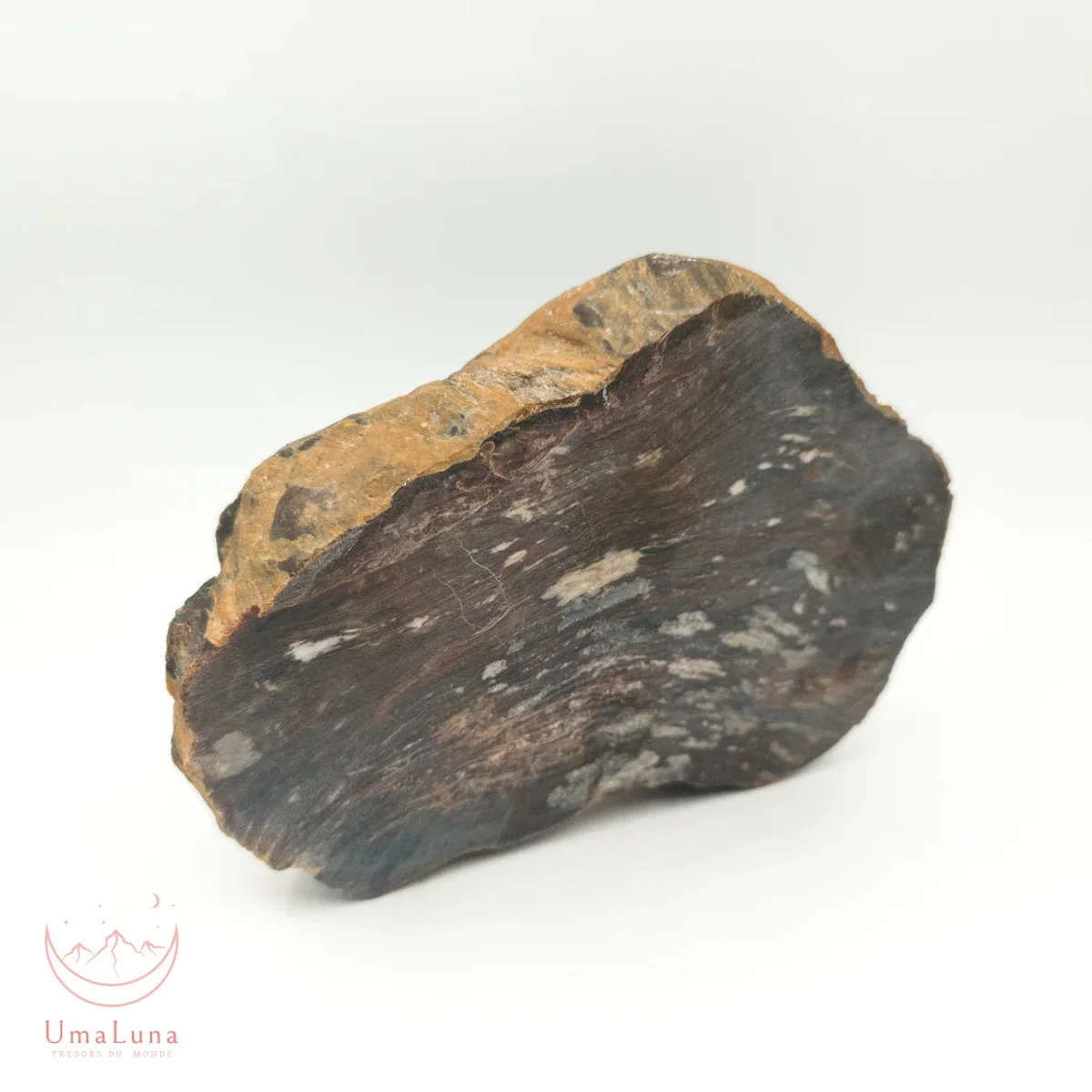 Bois Fossilisé Forme libre 650g - Photo 19